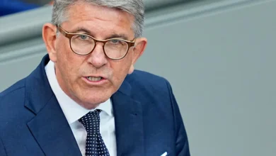 wolfram weimer afd